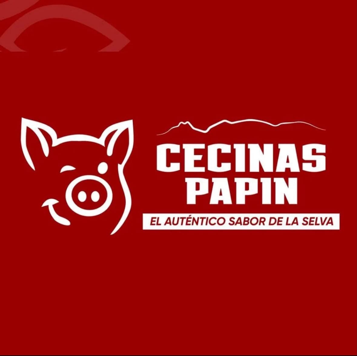 Logo de Cecinas Papin